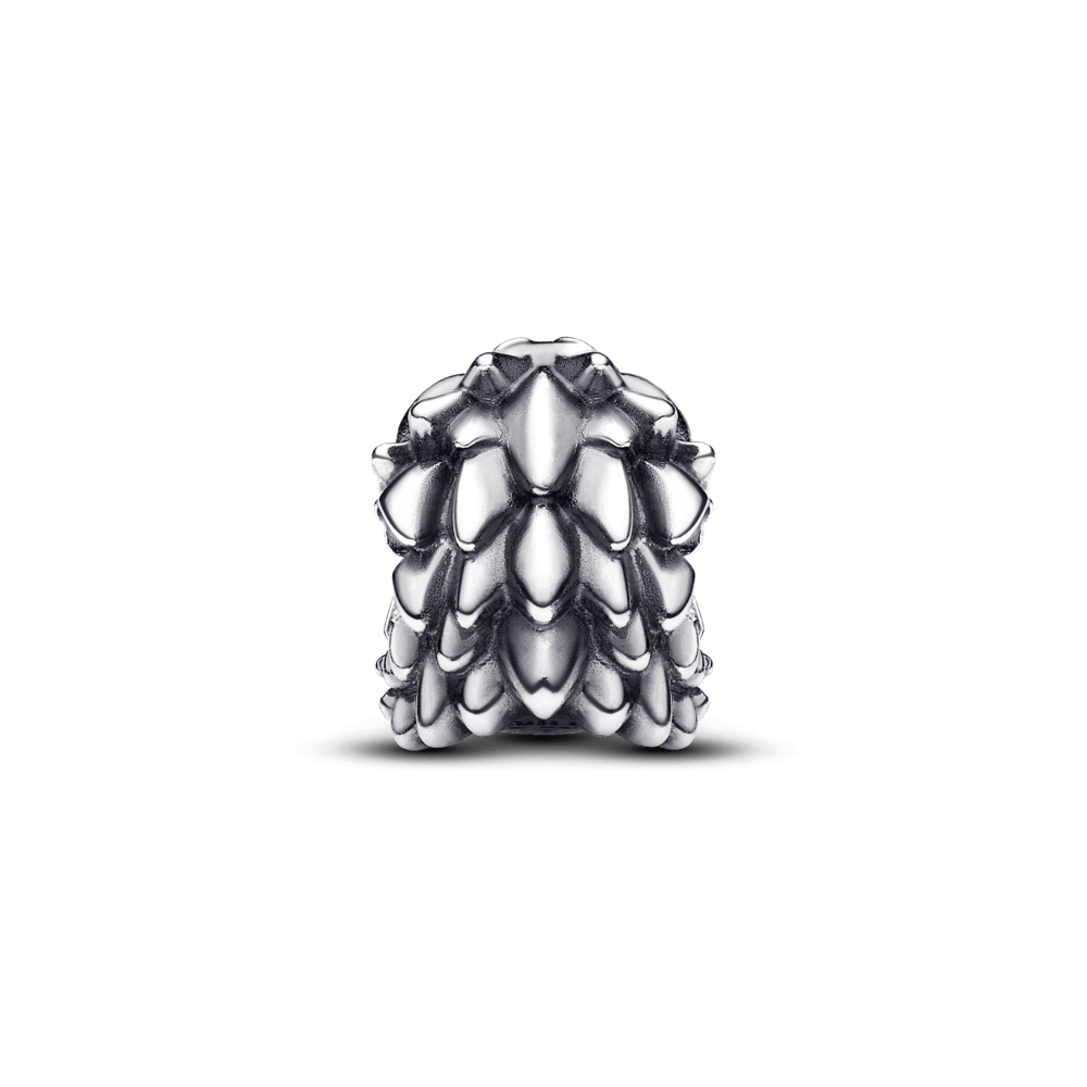 Charm Dragón Guardián