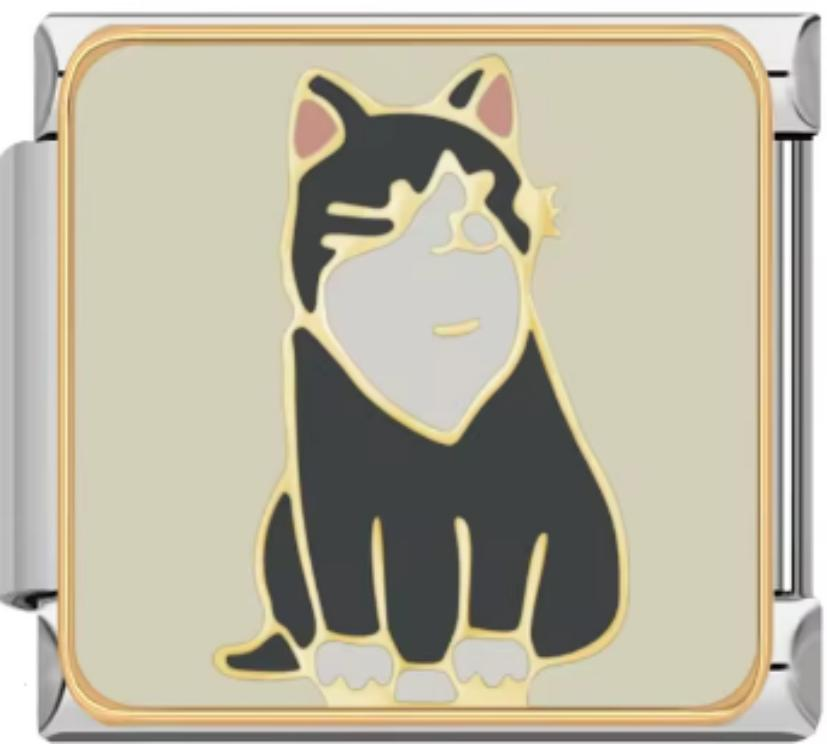 Charm Italiano Gato Negro