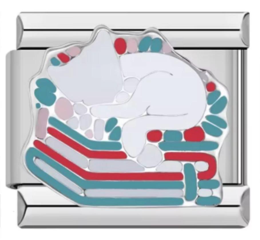 Charm Italiano Gato + Libros