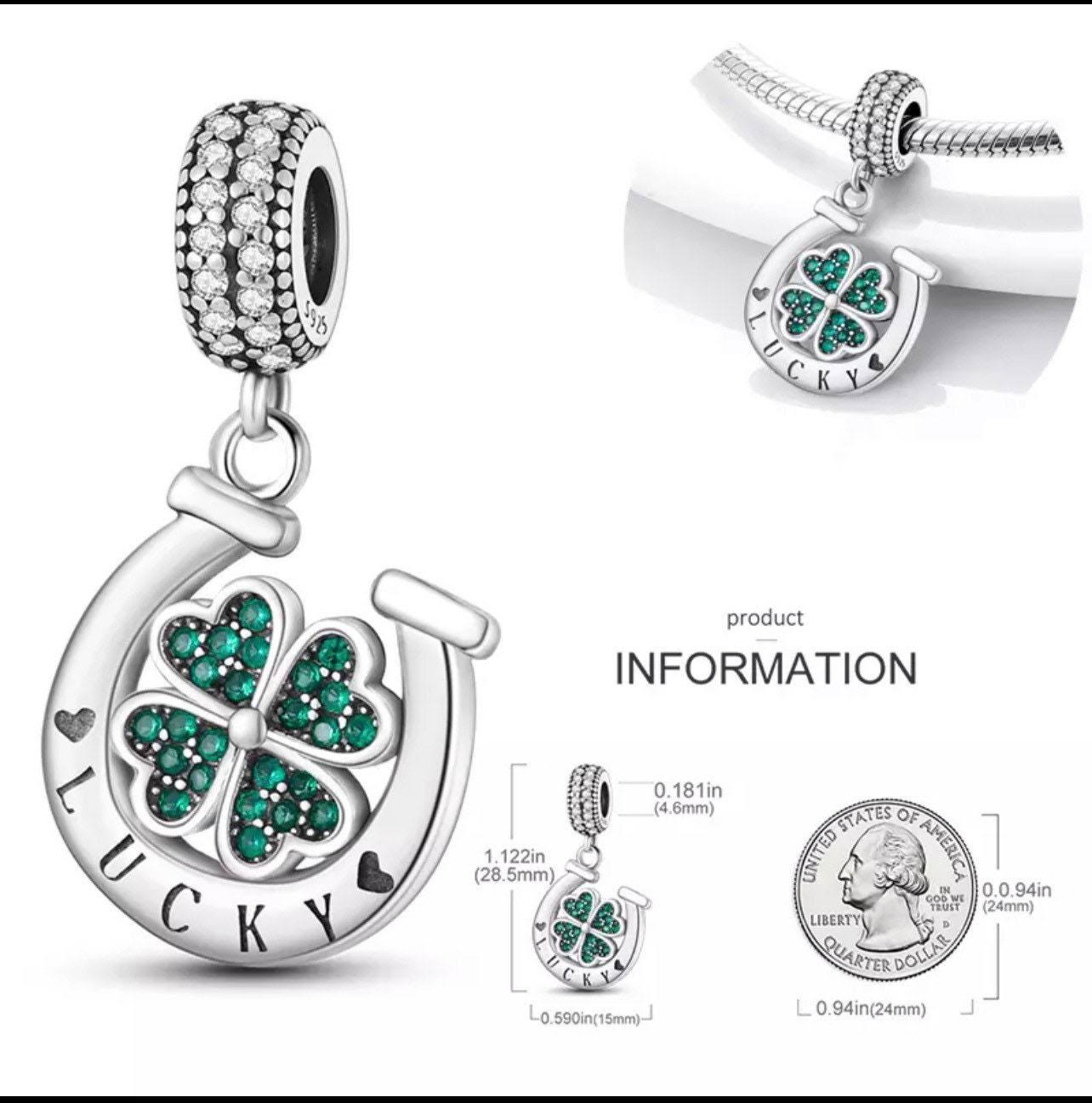 Charm Herradura de la Buena Suerte