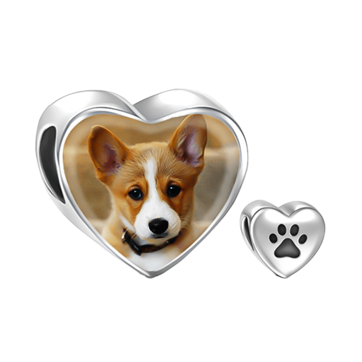 Charm Personalizado Pet