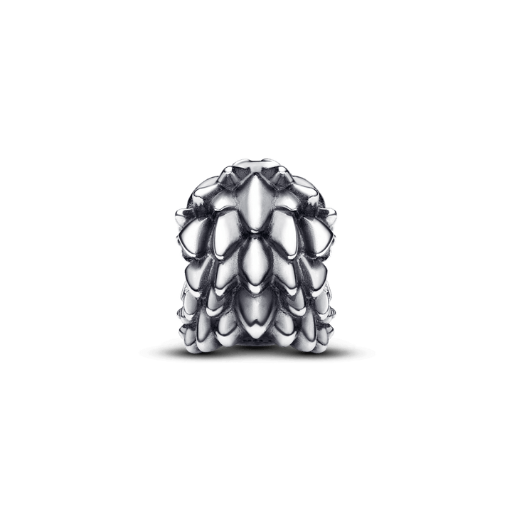 Charm Dragón Guardián