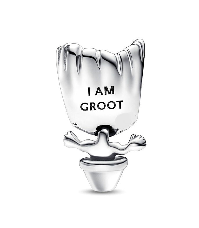 Charm Bebe Groot