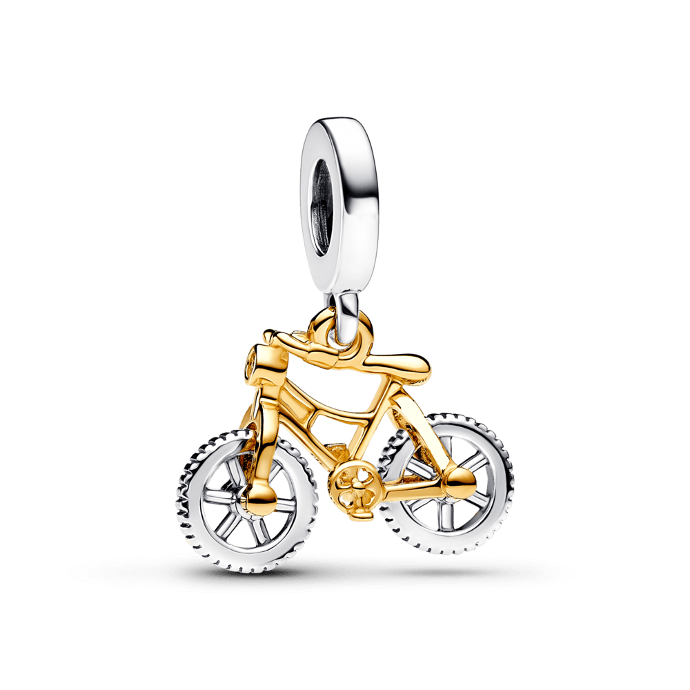 Charm Bicicleta de Aventuras