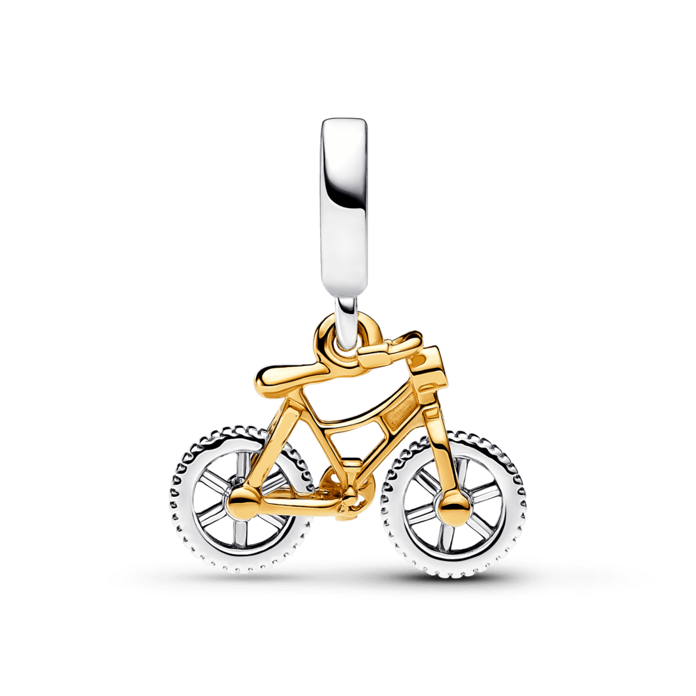 Charm Bicicleta de Aventuras