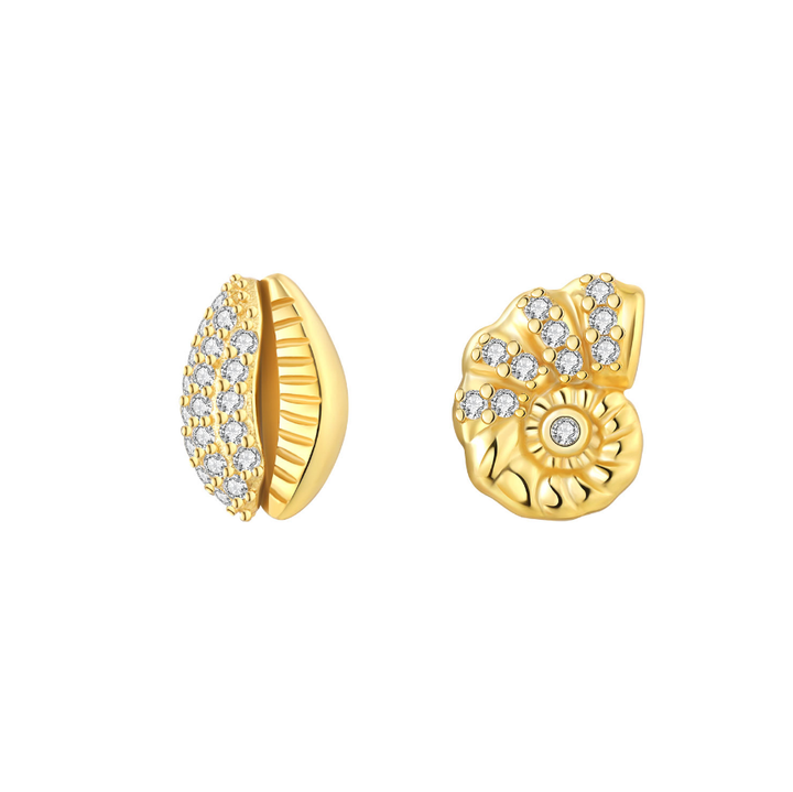 Aretes Concha y Caracol