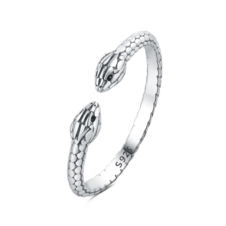 Anillo Doble Serpiente