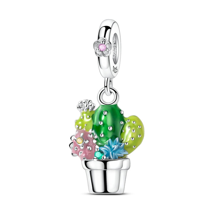 Charm Cactus