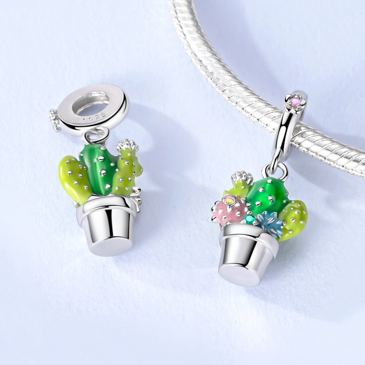 Charm Cactus