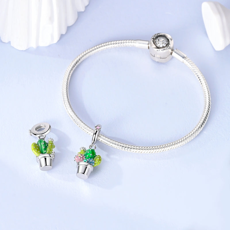 Charm Cactus