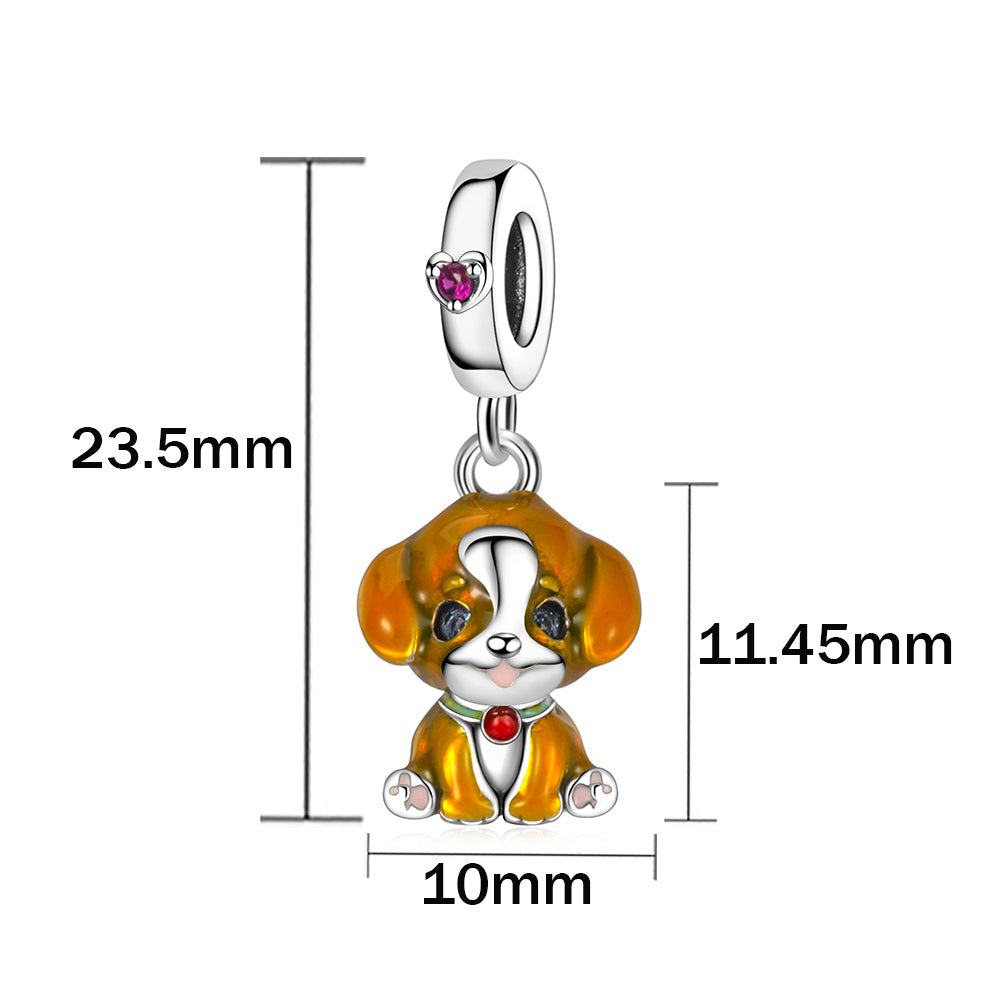 Charm Perrito