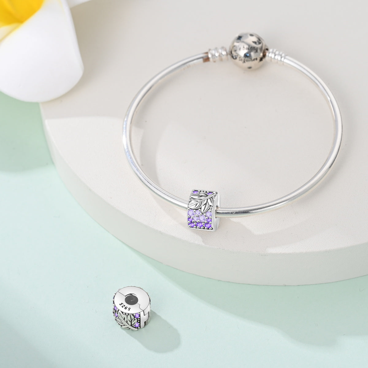 Clip Brillos Morados