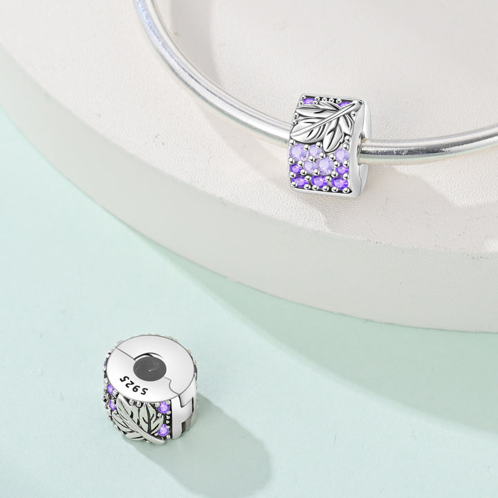 Clip Brillos Morados