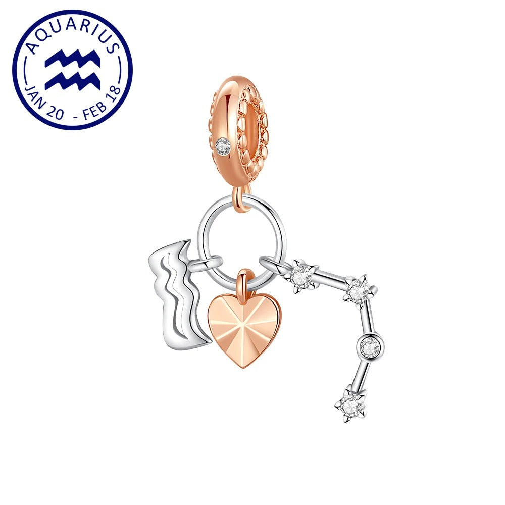 Charm Constelación del Zodíaco Acuario y Corazón