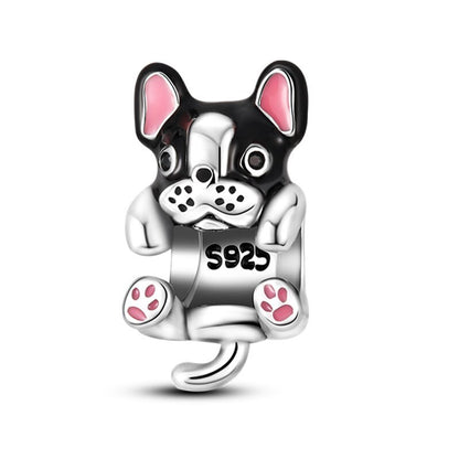 Charm Bulldog Frances
