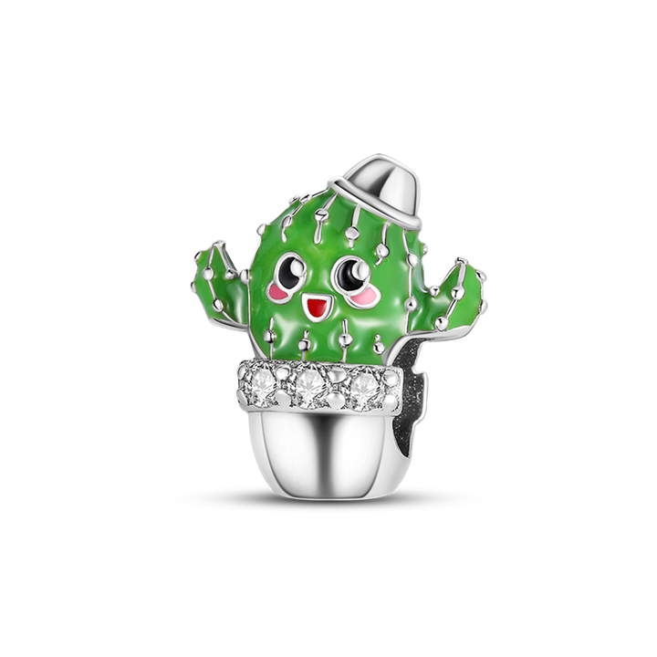 Charm Cactus Tierno