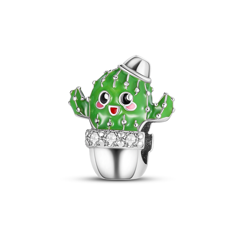 Charm Cactus Tierno