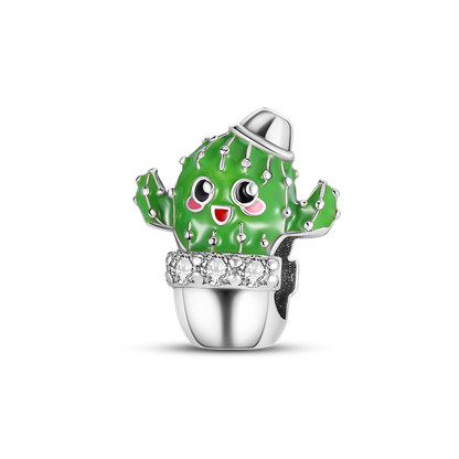 Charm Cactus Tierno