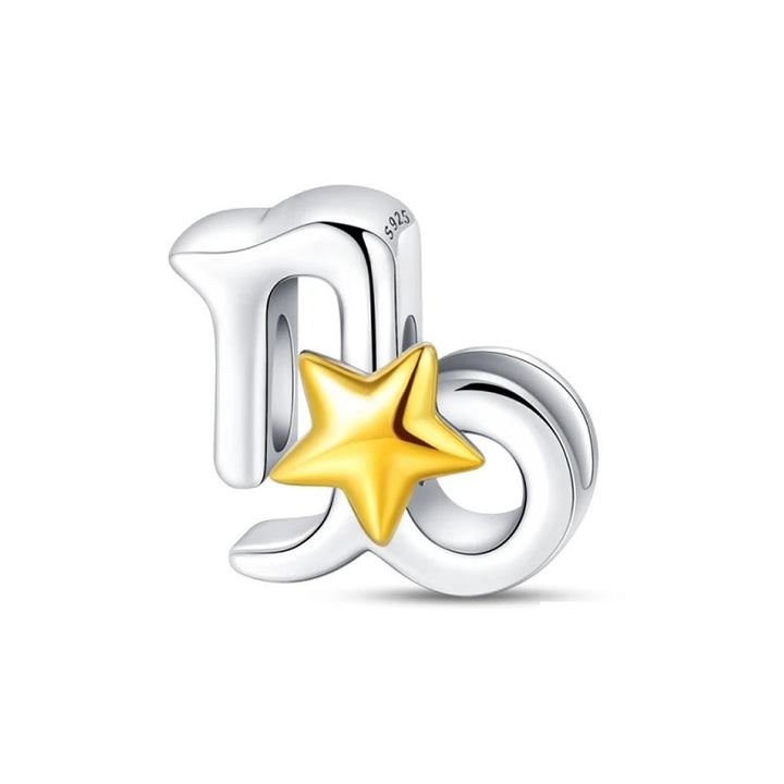 Charm Signo Capricornio y Estrella