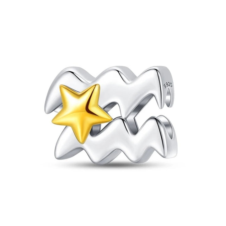 Charm Signo Acuario y Estrella