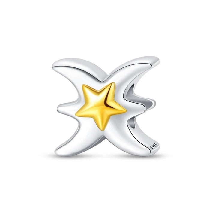 Charm Signo Piscis y Estrella