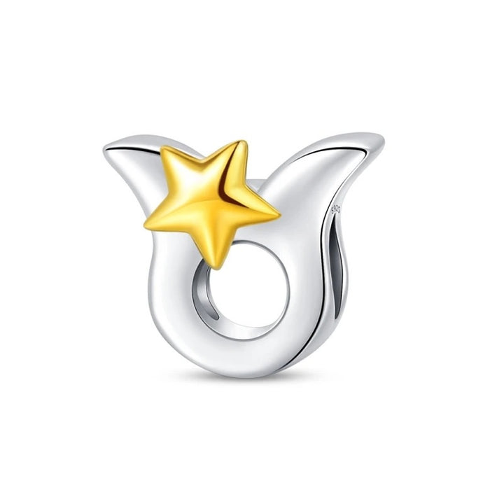 Charm Signo Tauro y Estrella