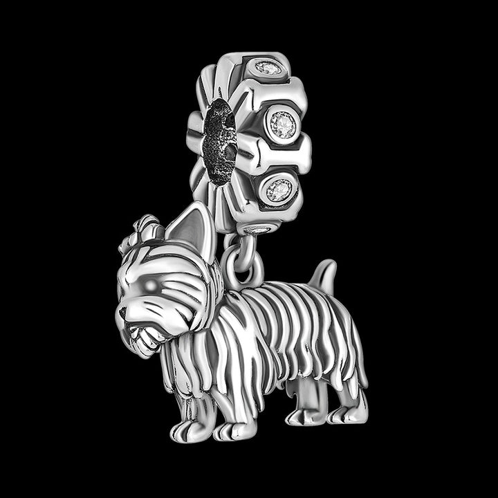 Charm Yorkshire Terrier